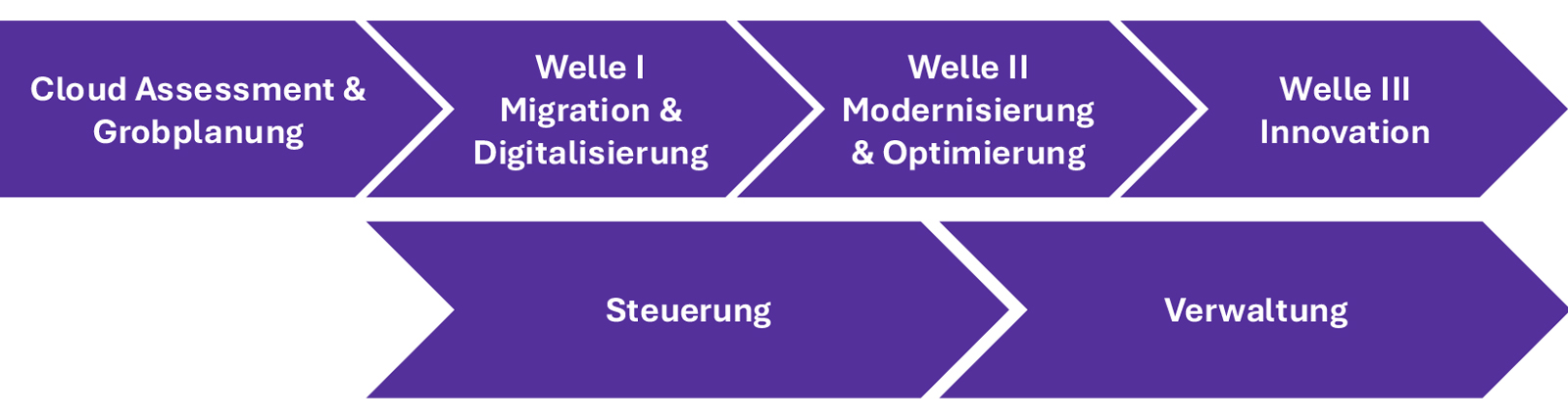 Cloud-Schaubild-05 Schaubild 5: Werte generierende und Risiko minimierende Cloud-Einführung